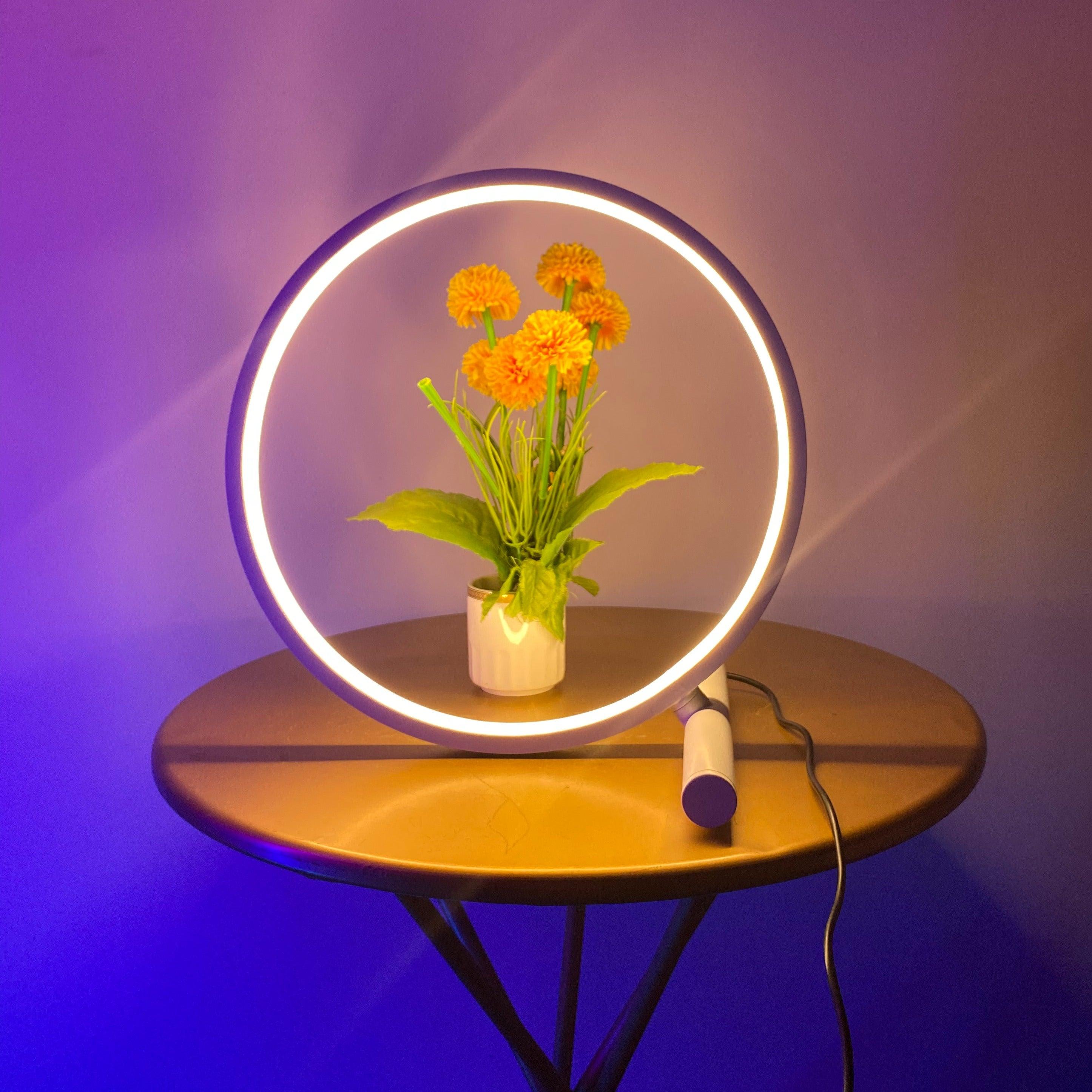 Halo Table Lamp - Casa Di Lumo