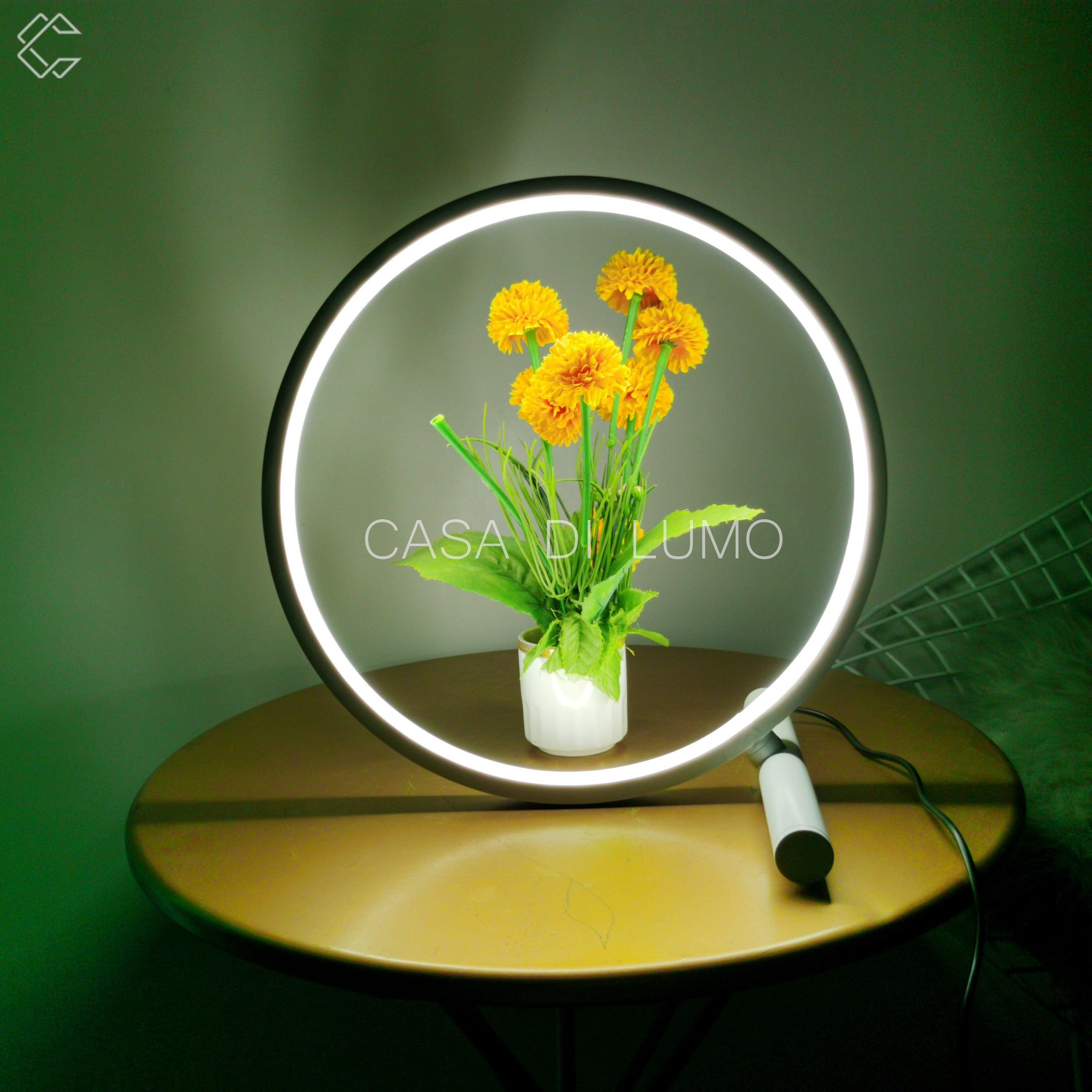 Halo Table Lamp - Casa Di Lumo