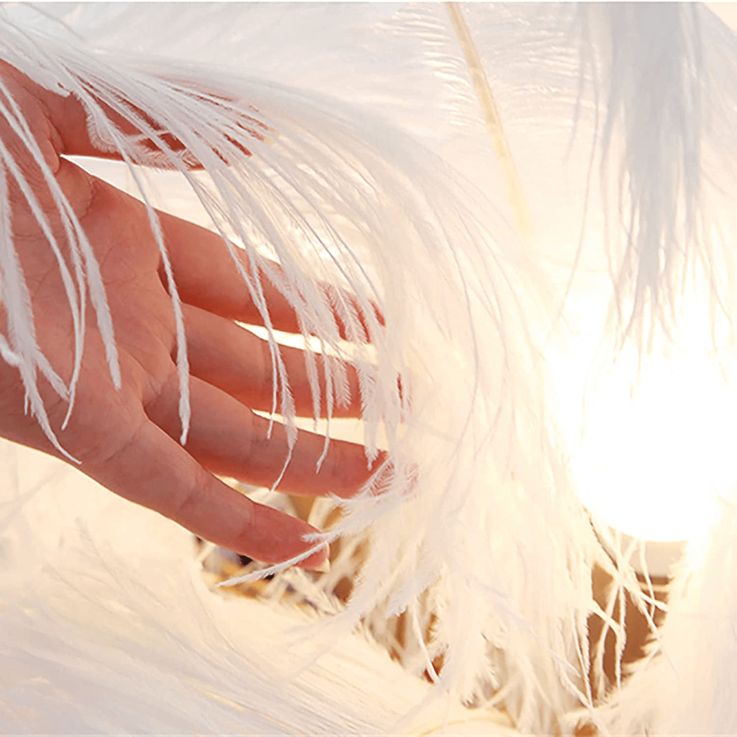 Ostrich Feather Floor Lamp - Casa Di Lumo