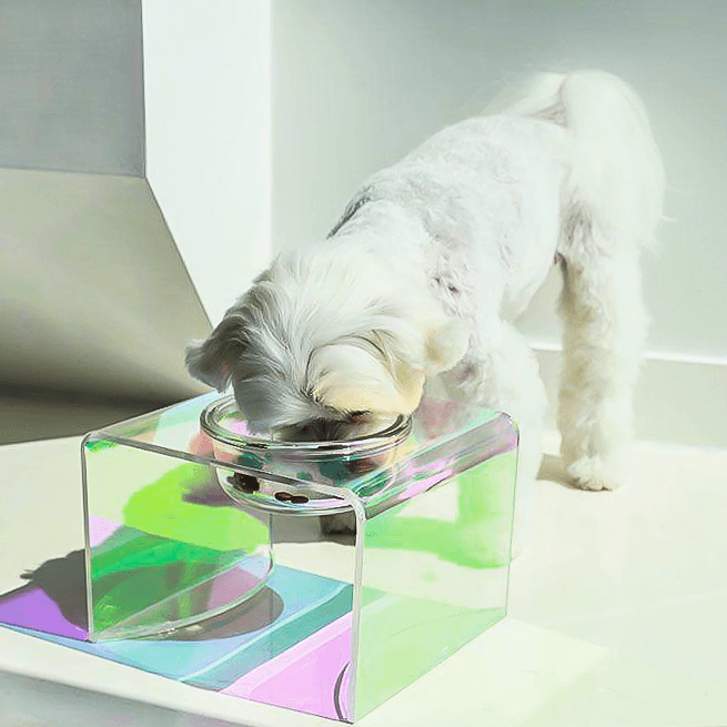 Sapphire Pet Bowl - Casa Di Lumo