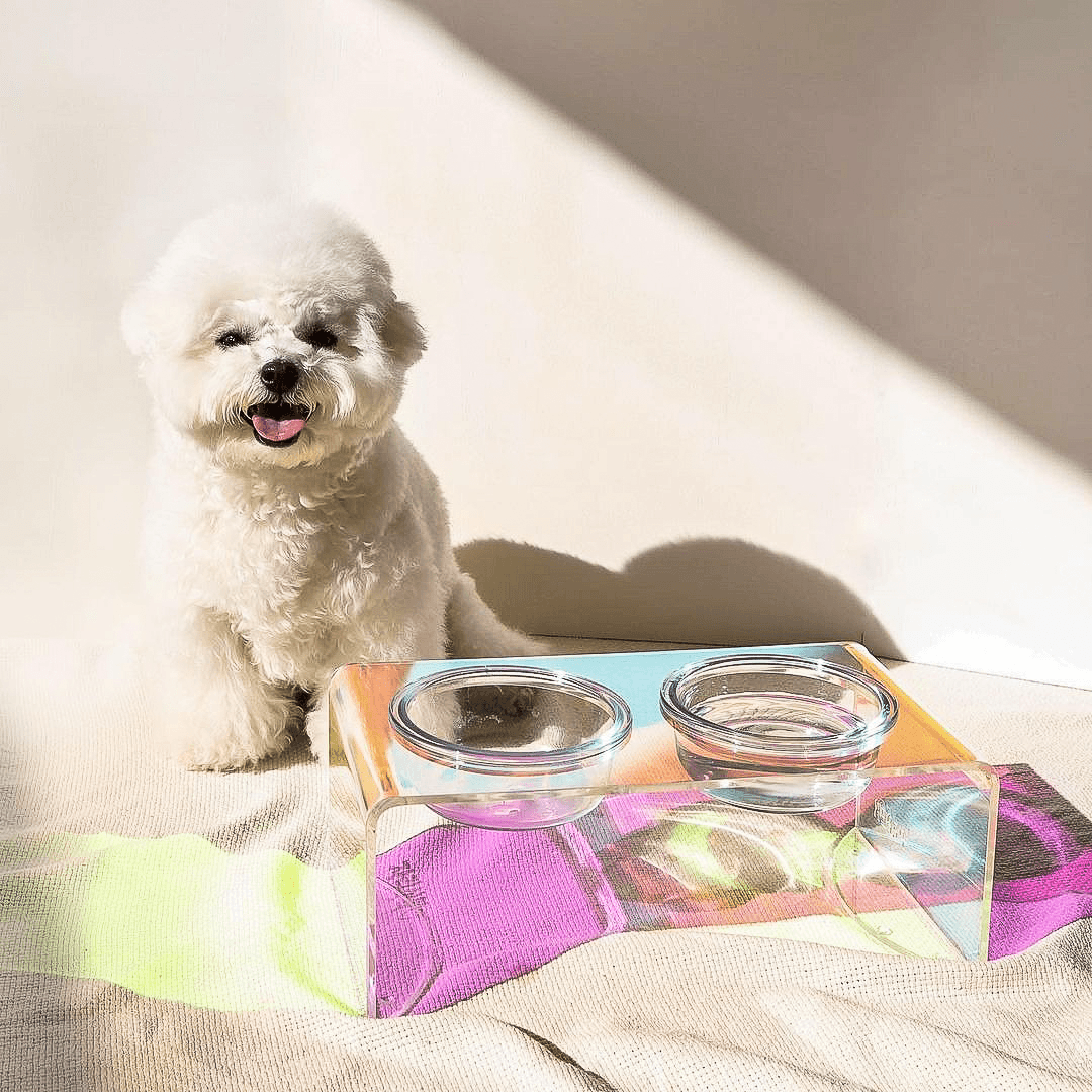 Sapphire Pet Bowl - Casa Di Lumo