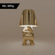 Mr. Why