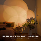 Phoenix Floor Lamp