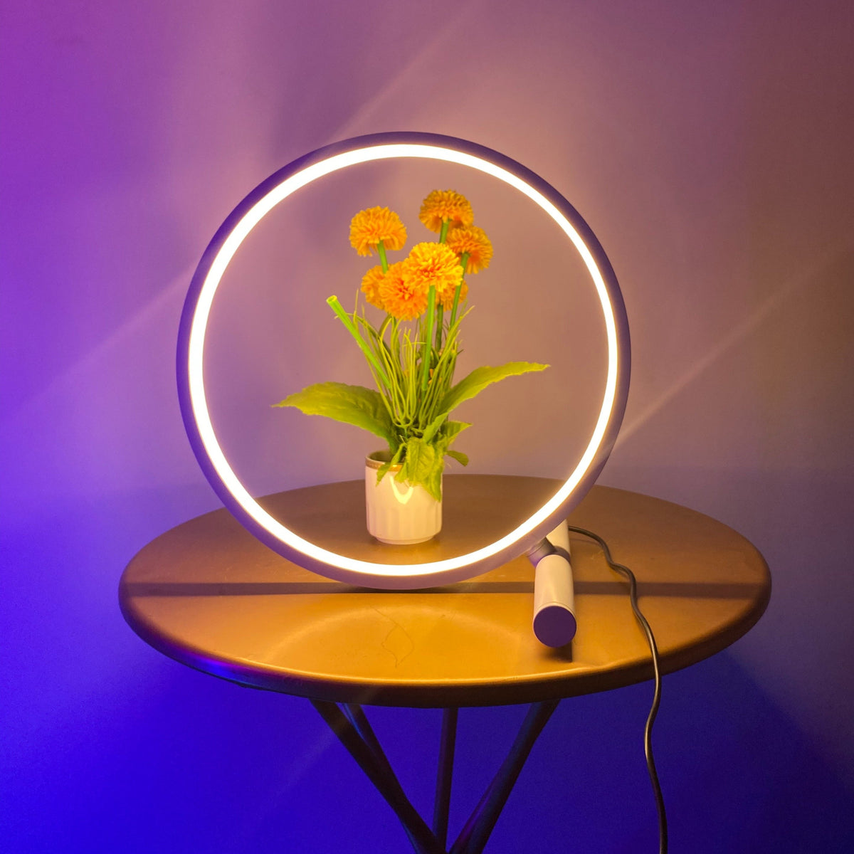 Black Halo Table Lamp glowing white with yellow flowers inside the ring