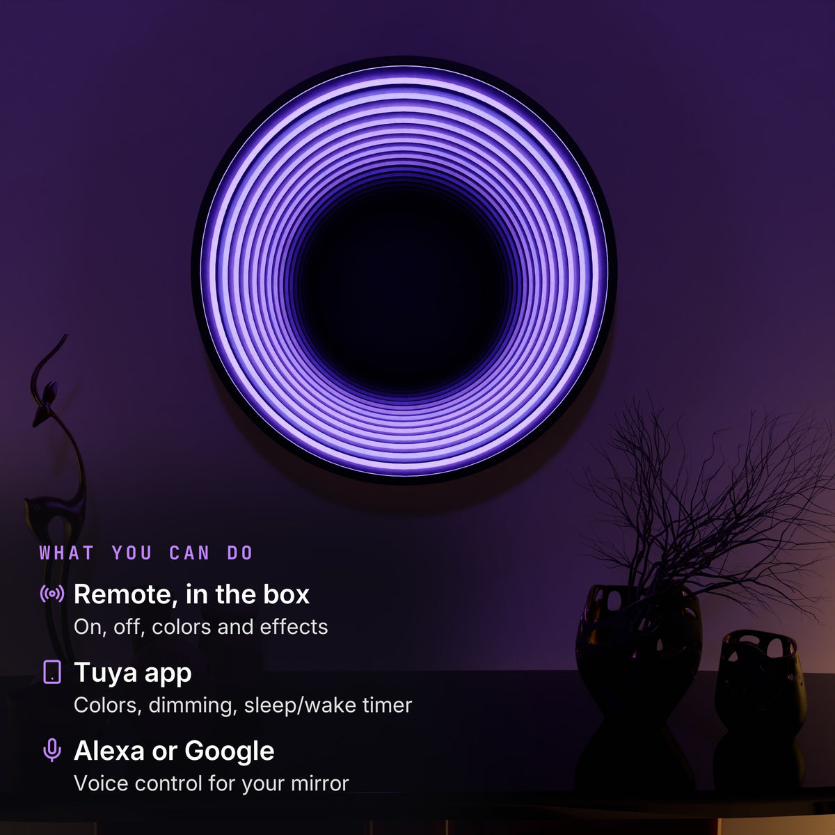 360-Mirror: Verified controls included with this product