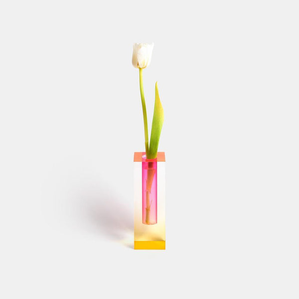 Pink and yellow acrylic bud vase holding a white tulip