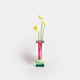 Green/Pink