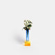Yellow/Blue
