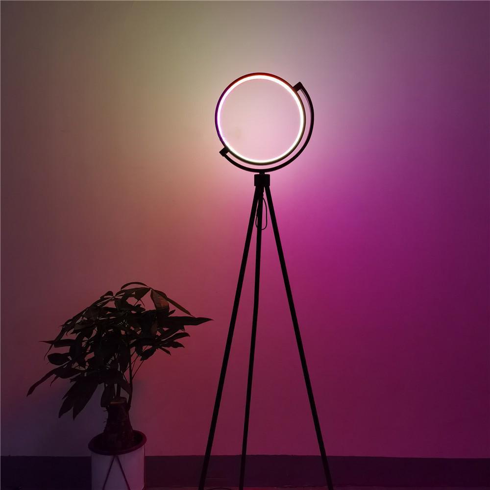 Halo Floor Lamp - Casa Di Lumo