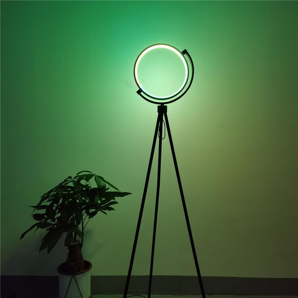 Halo Floor Lamp - Casa Di Lumo