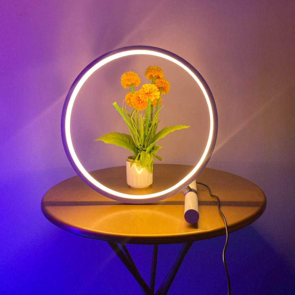 Halo Table Lamp - Casa Di Lumo