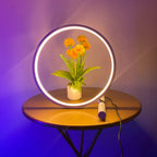 Halo Table Lamp - Casa Di Lumo