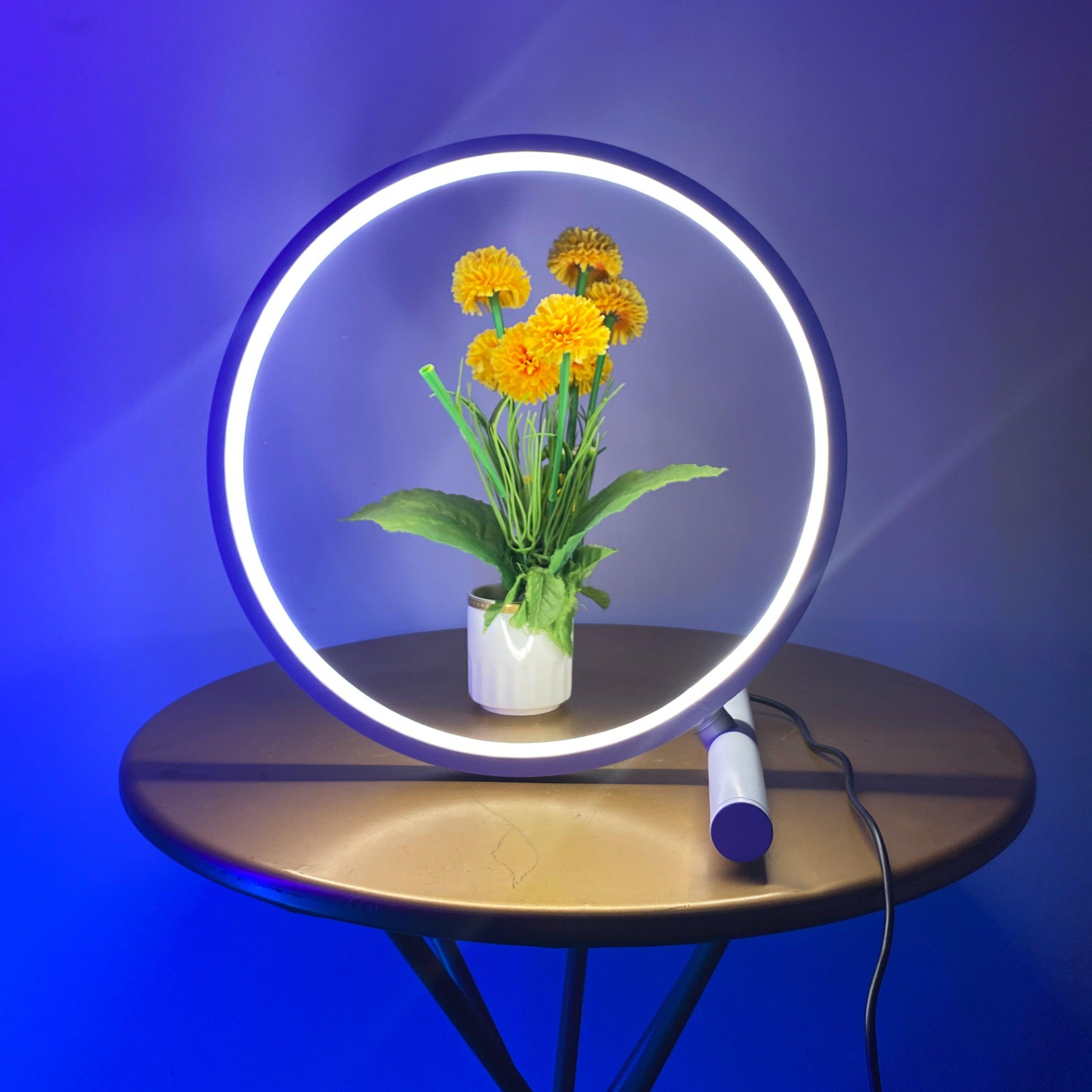 Halo Table Lamp - Casa Di Lumo