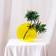 Marigold Sunlight
