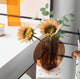 Marigold Sunset