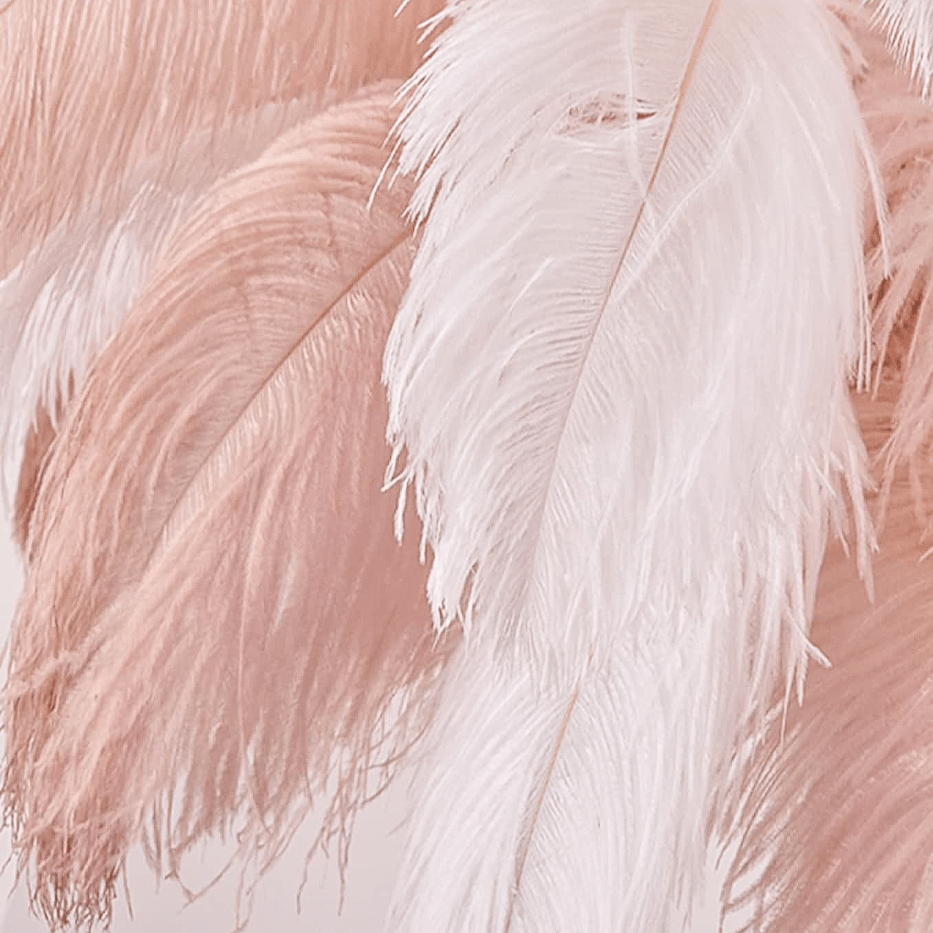 Ostrich Feather Floor Lamp Soft Pink | Casa di Lumo