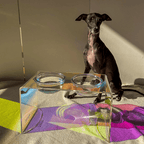 Sapphire Pet Bowl - Casa Di Lumo